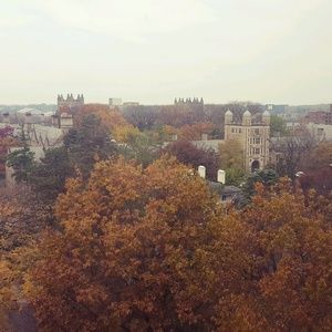 Meet your Posher, Therese